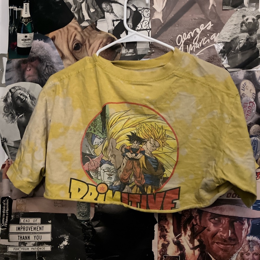 Primitive x DBZ crop